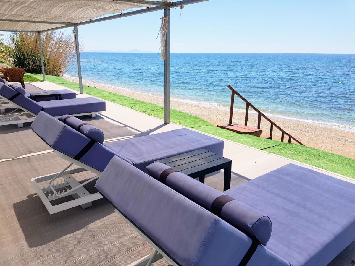 Alexandros Villa